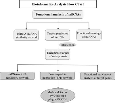 A Comprehensive Analysis of MicroRNAs in Human Osteoporosis